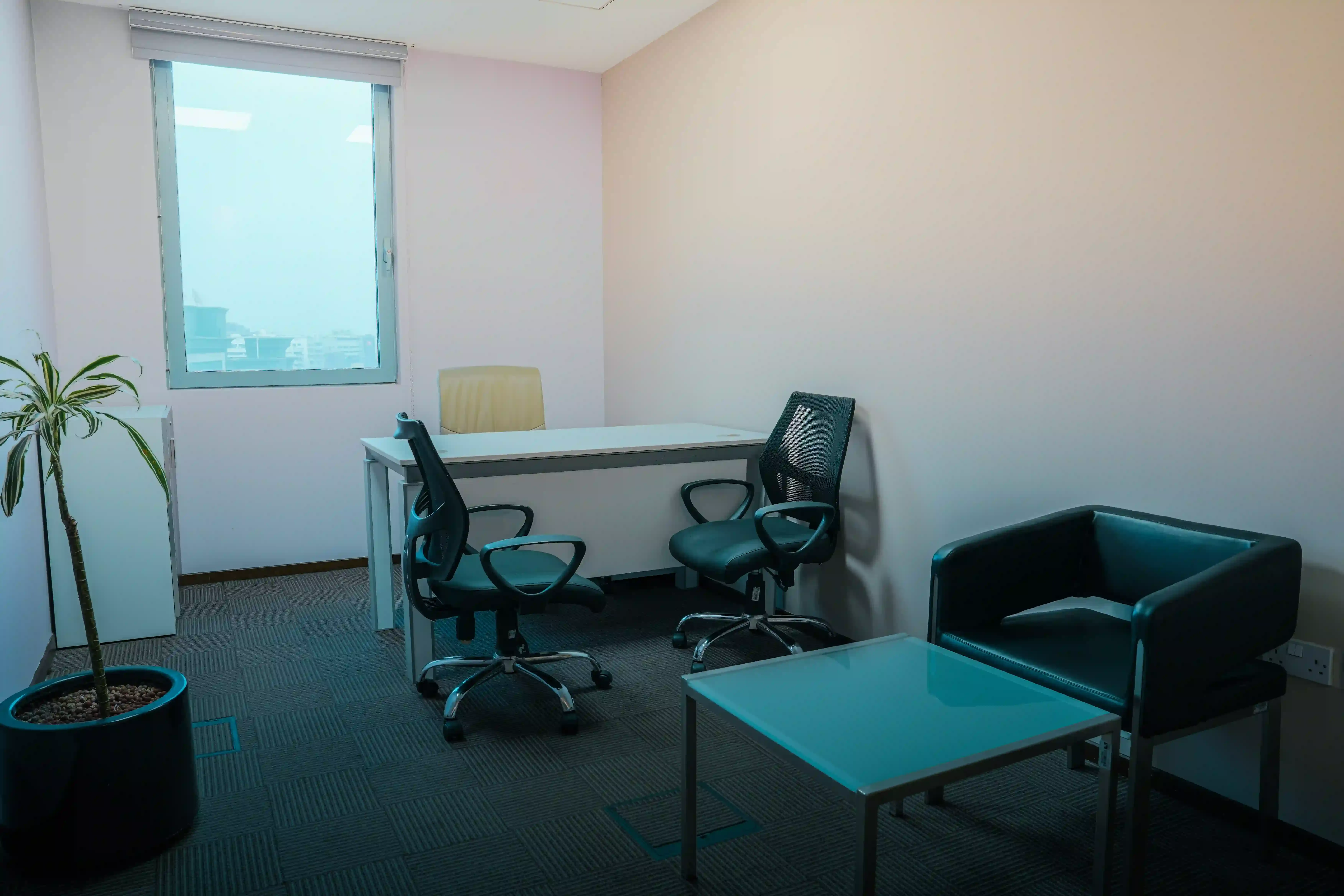 Premium Executive Office
